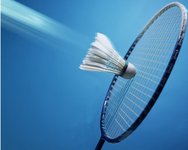 的年轻领军 的年轻领军