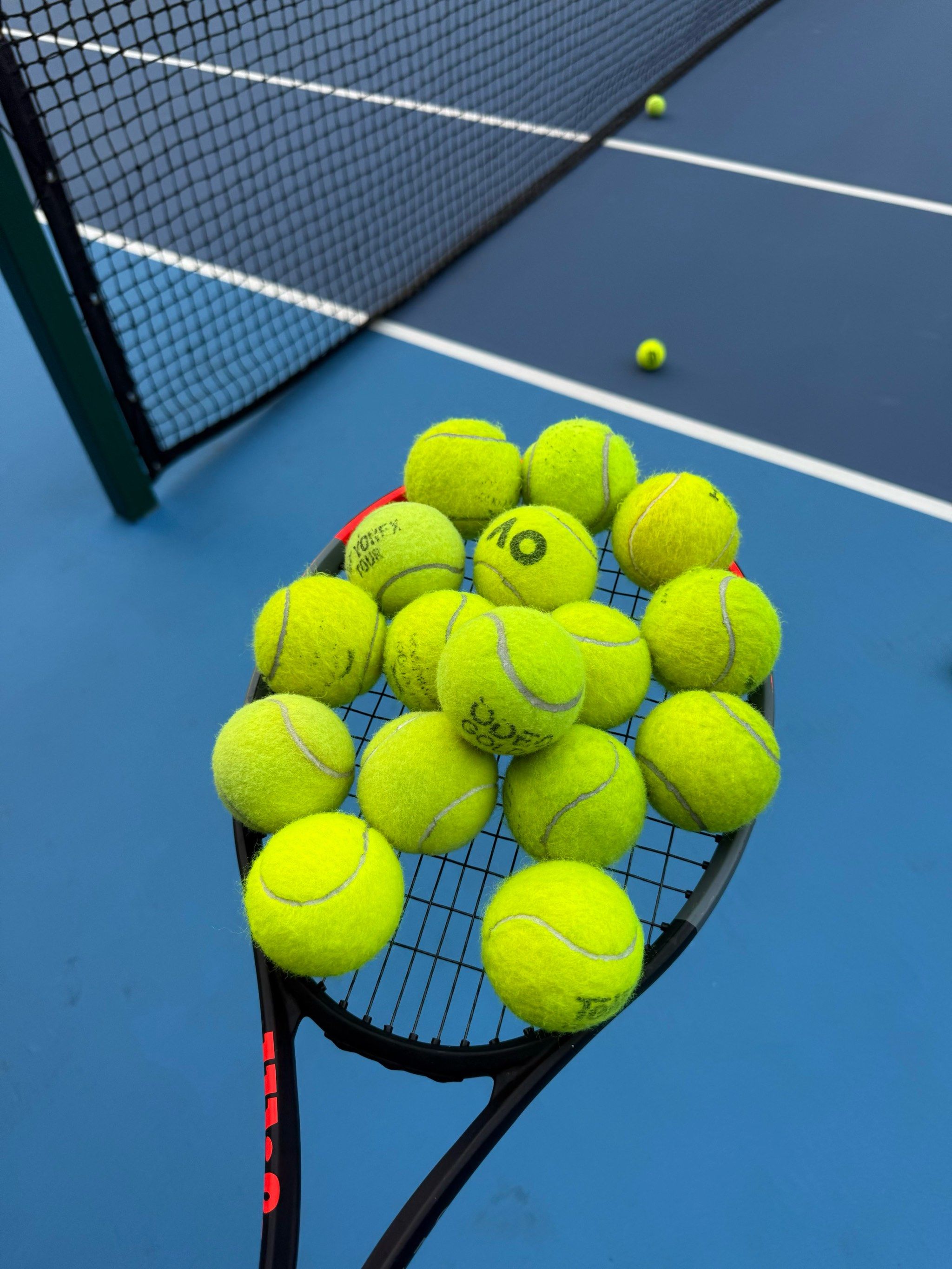 还寄望他们 还寄望他们