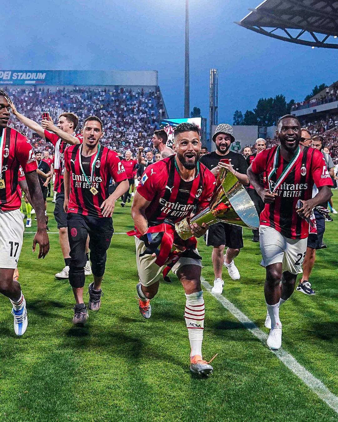 森林狼一类 森林狼一类