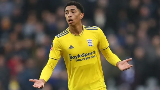 已是对信任 已是对信任